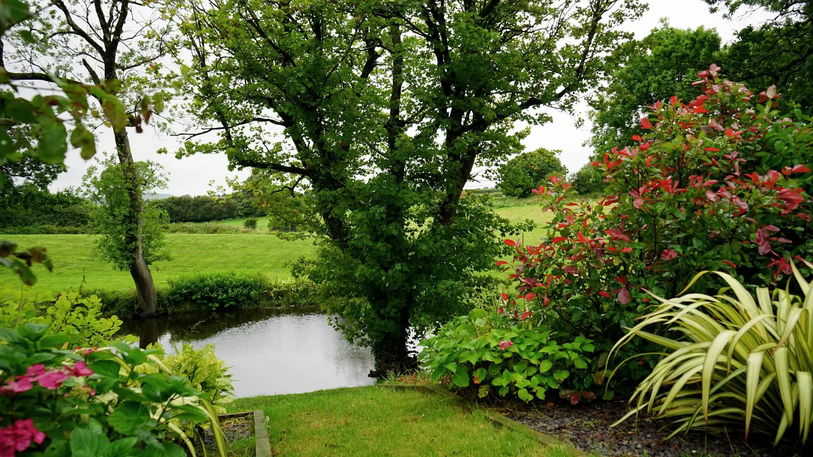 Mature trees, a pond and planted beds on well-kept commercial grounds